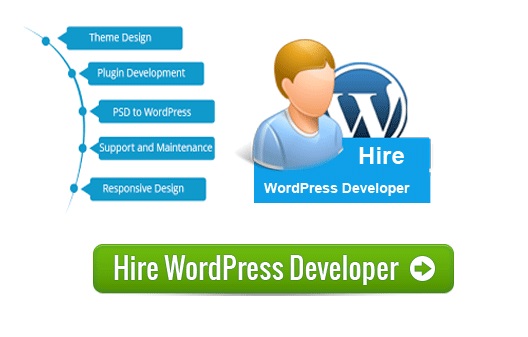 hire a wordpress develope