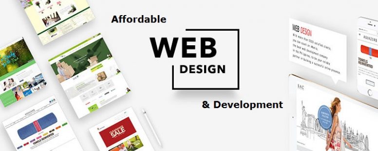 Web Site Design and Development Packages